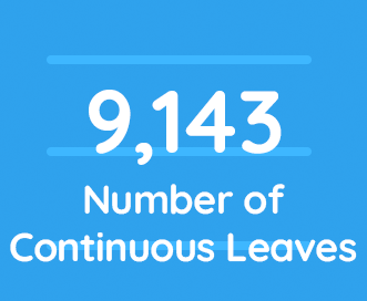 Home 15 9,143 Continuous Leaves submitted from one client - Qcera | LeaveSource®